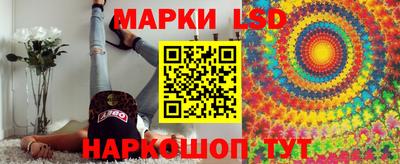 гашик Тверь