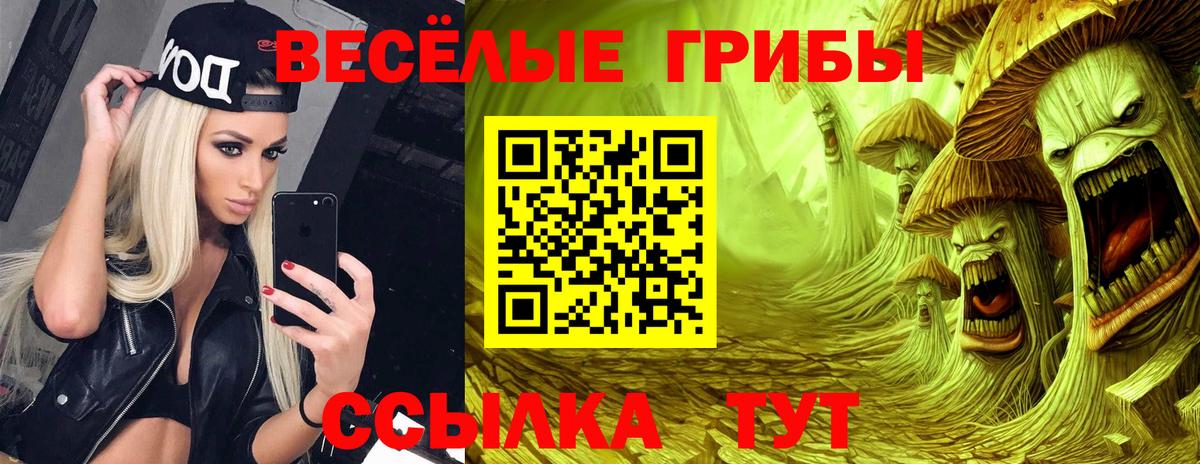 Нижнекамск  Псилоцибиновые грибы Psilocybine cubensis  Псилоцибиновые грибы Magic Shrooms  Вход с VPN 