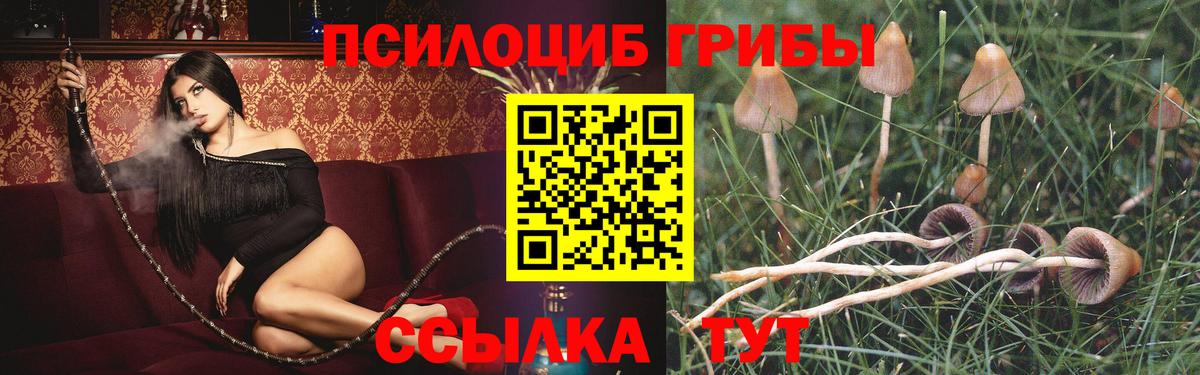 Галлюциногенные грибы Psilocybine cubensis Нижнекамск